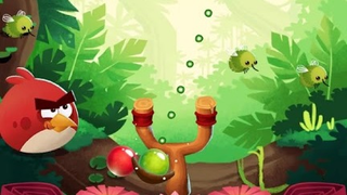 Illustration for article titled I Played All 17 Angry Birds Games And I Have Some Thoughts